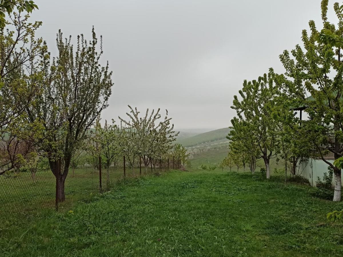 La Casa De Habel Villa Quba Eksteriør billede